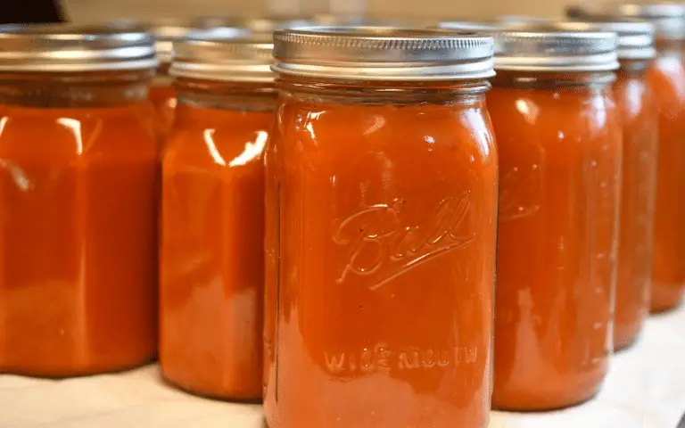 Homemade Tomato Sauce – Easy No Peeling