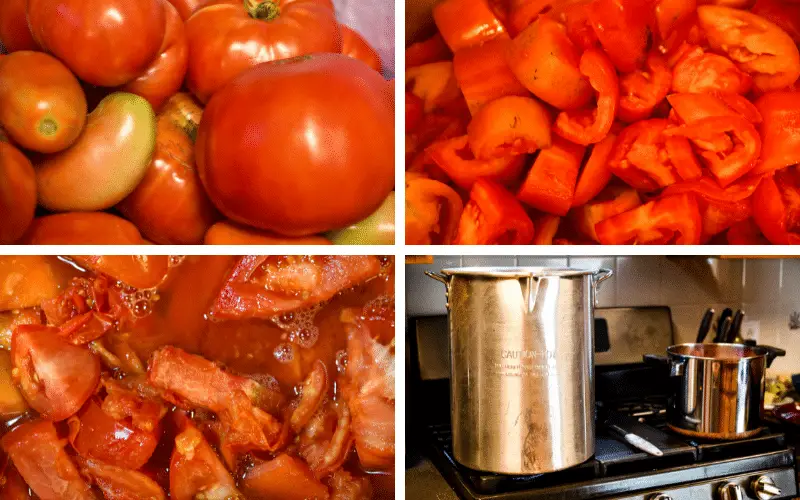 Tomatoes being washed, cup up and boiled to make tomato sauce.