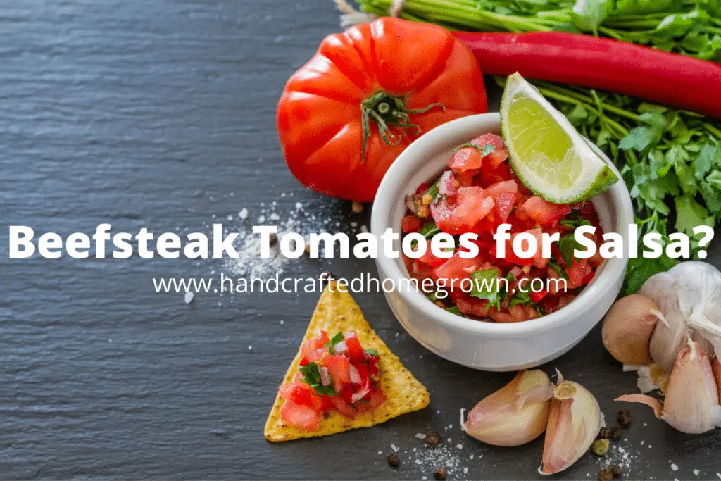 Beefsteak Tomatoes for Salsa