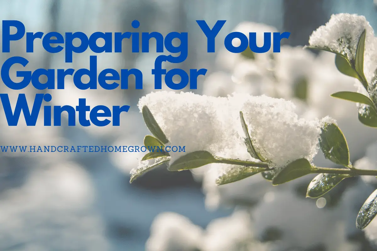 Preparing Your Garden for Winter