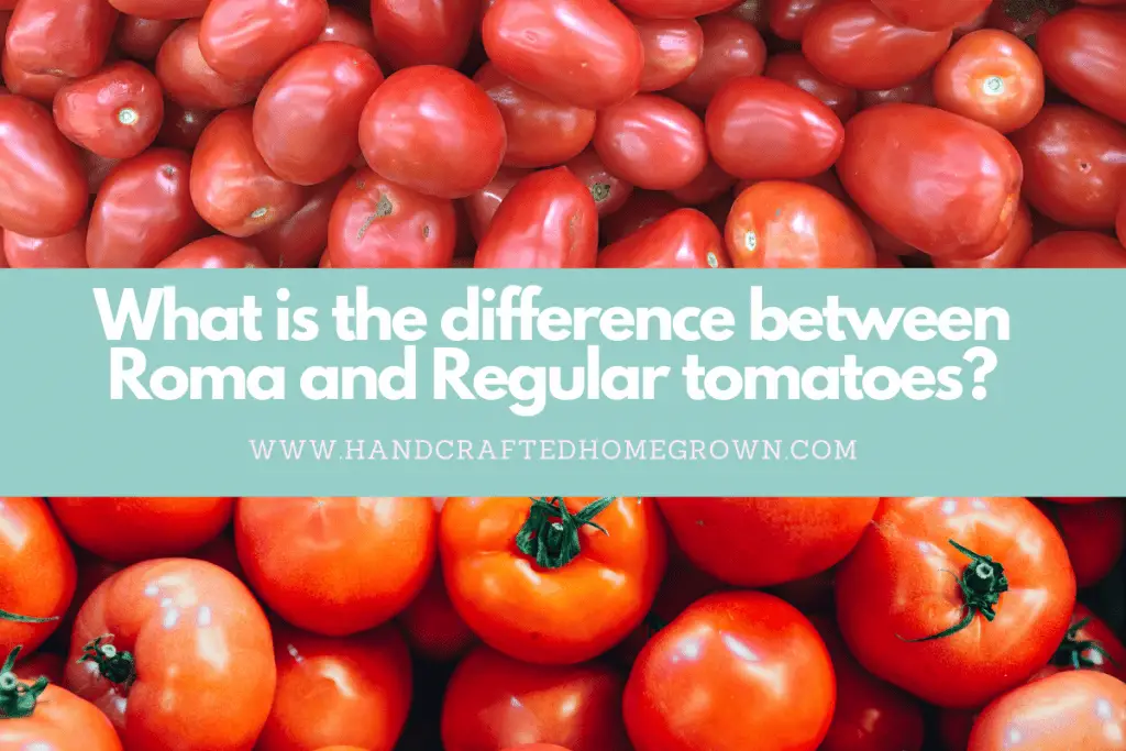 Roma Tomatoes vs Regular Tomatoes - Handcrafted Homegrown