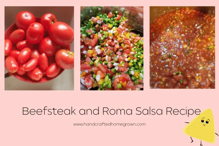 Beefsteak and Roma Salsa Recipe