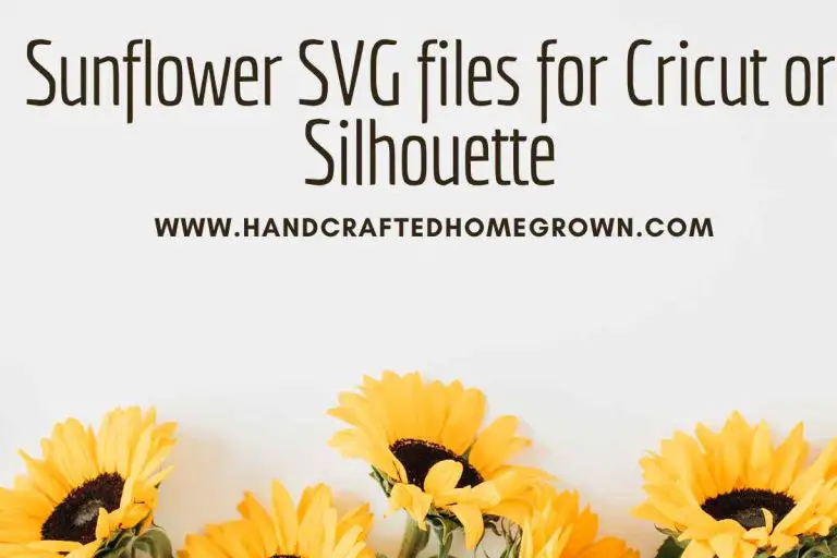 Sunflower SVG files for Cricut or Silhouette (free and paid)